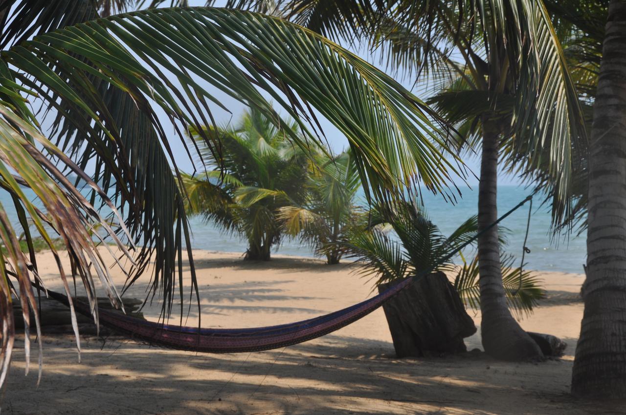 Sabal Beach Hotel Monkey River Town Luaran gambar