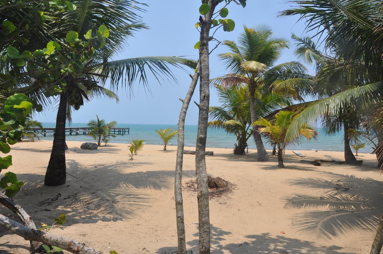 Sabal Beach Hotel Monkey River Town Luaran gambar