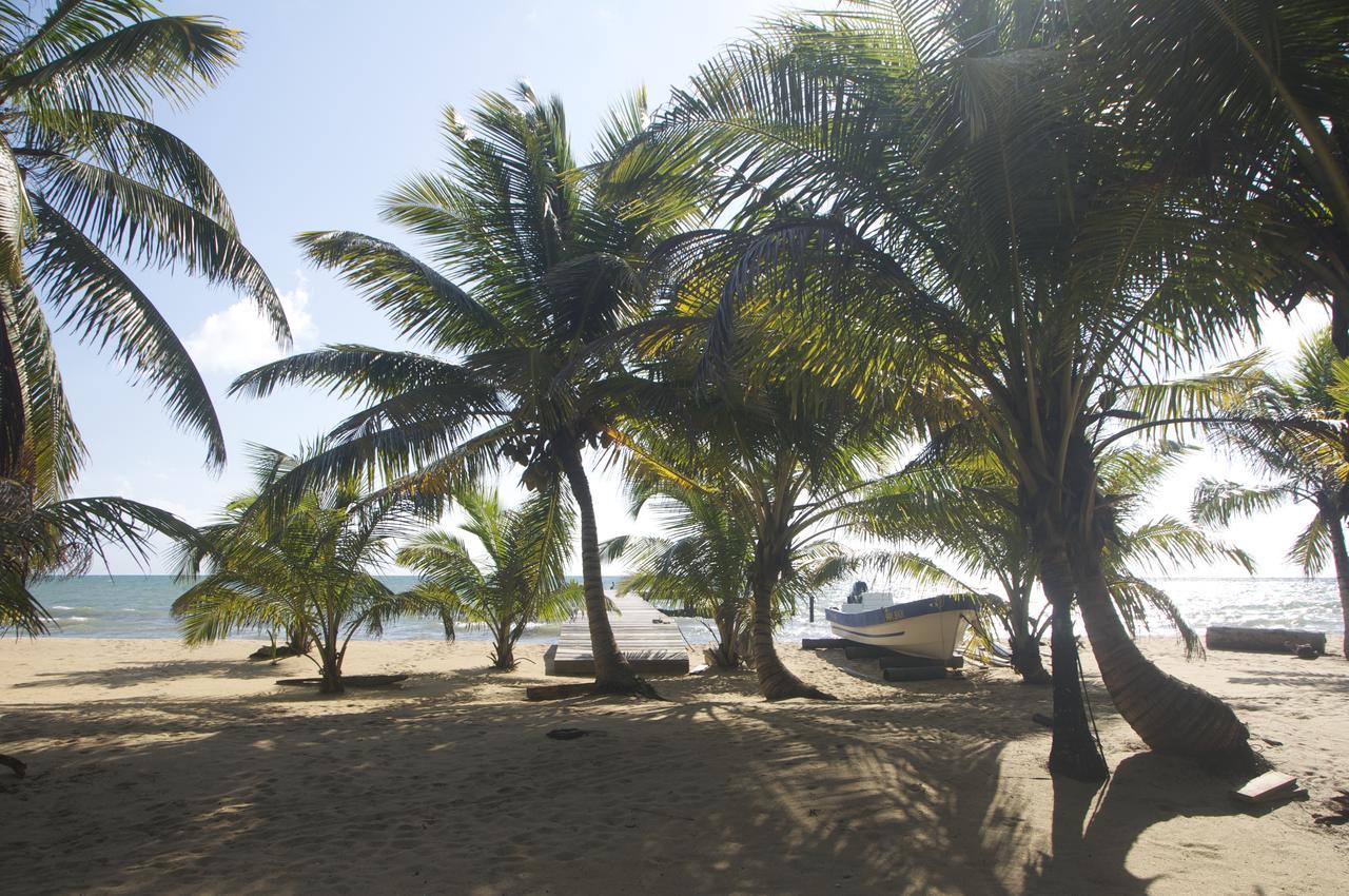 Sabal Beach Hotel Monkey River Town Luaran gambar
